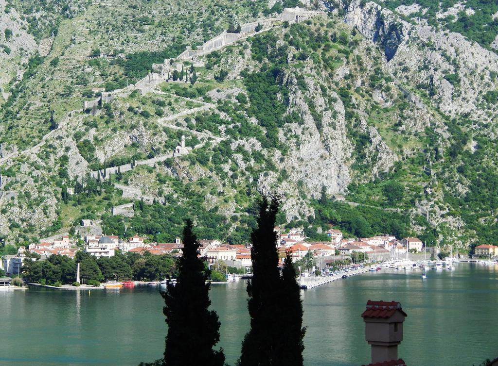 Apartments Panorama Kotor Rum bild